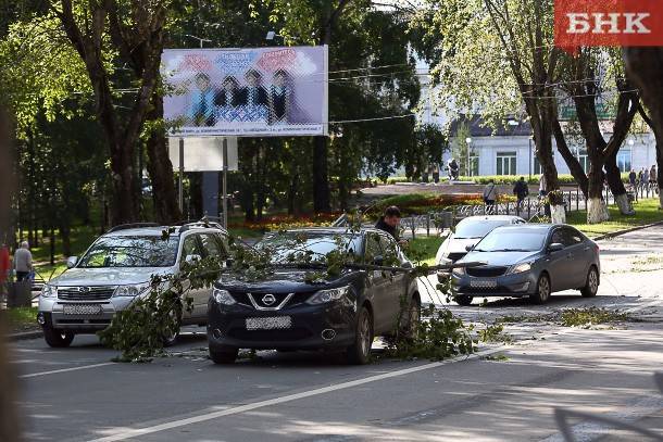 Народный корреспондент: «Иномарку накрыло деревом в центре в Сыктывкара»