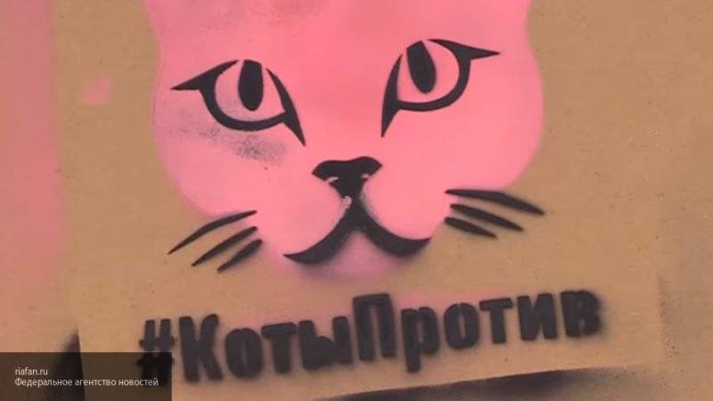 Активисты Петербурга ведут борьбу с рекламой запрещенных веществ с помощью котов