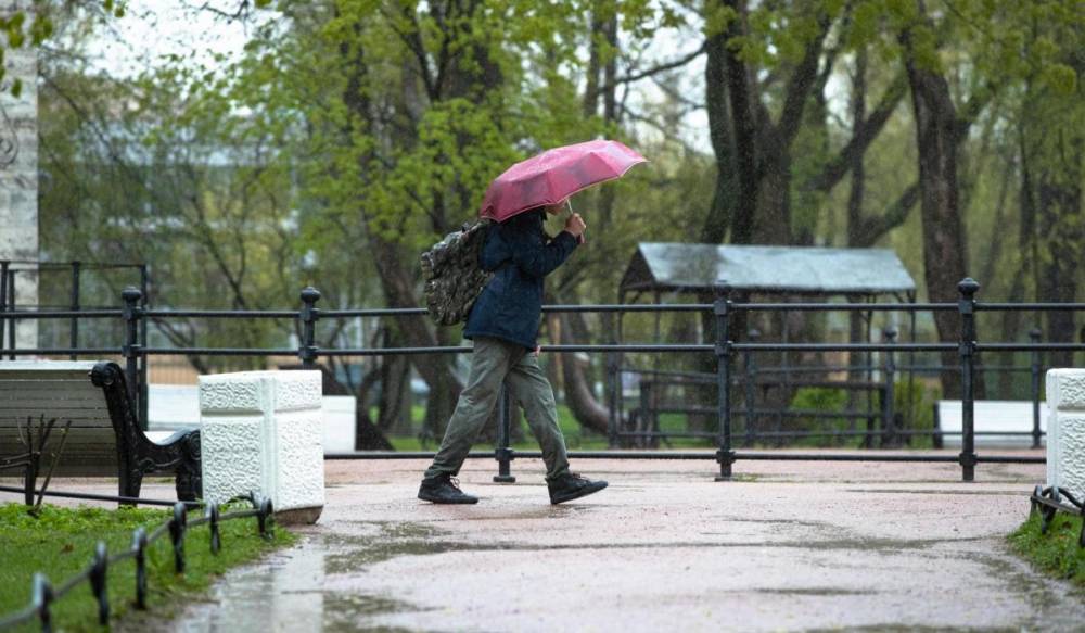 Рабочая неделя в Петербурге начнется с дождя и грозы