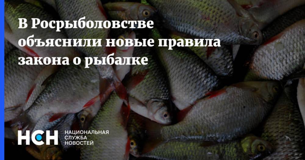 В Росрыболовстве объяснили новые правила закона о рыбалке