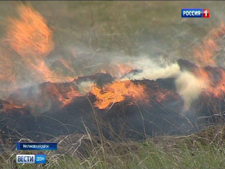 В середине недели на Дону ожидают чрезвычайную пожароопасность
