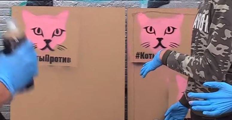 «Коты против» снова вышли на борьбу с незаконной рекламой наркотиков в Петербурге