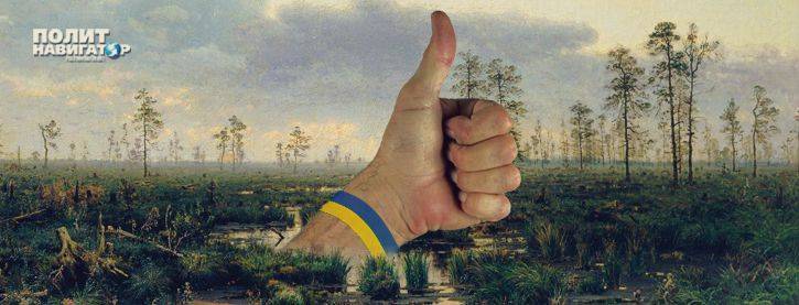 Политолог-майданщик теперь считает Украину «полудохлым государством»