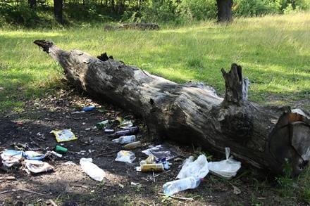 Нижегородцы очистят от&nbsp;мусора Копосовскую дубраву