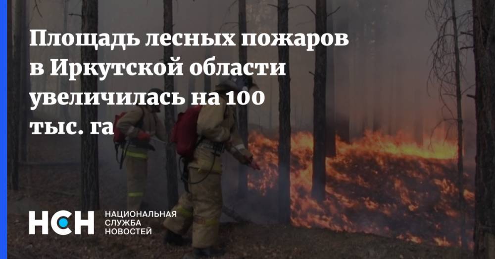 Площадь лесных пожаров в Иркутской области увеличилась на 100 тыс. га