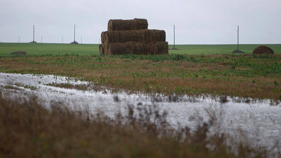 В нескольких районах Пермского края ввели режим ЧС из-за переувлажнения почвы