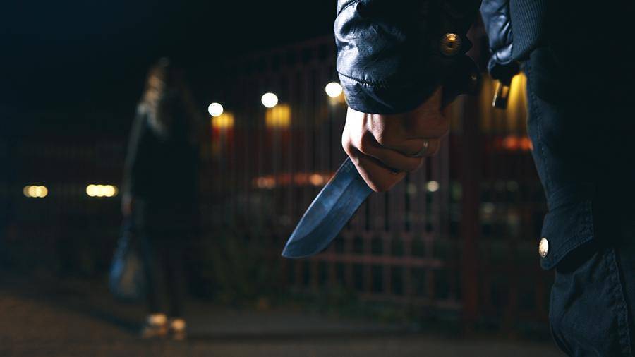 Неизвестный напал с ножом на школьницу в Новой Москве