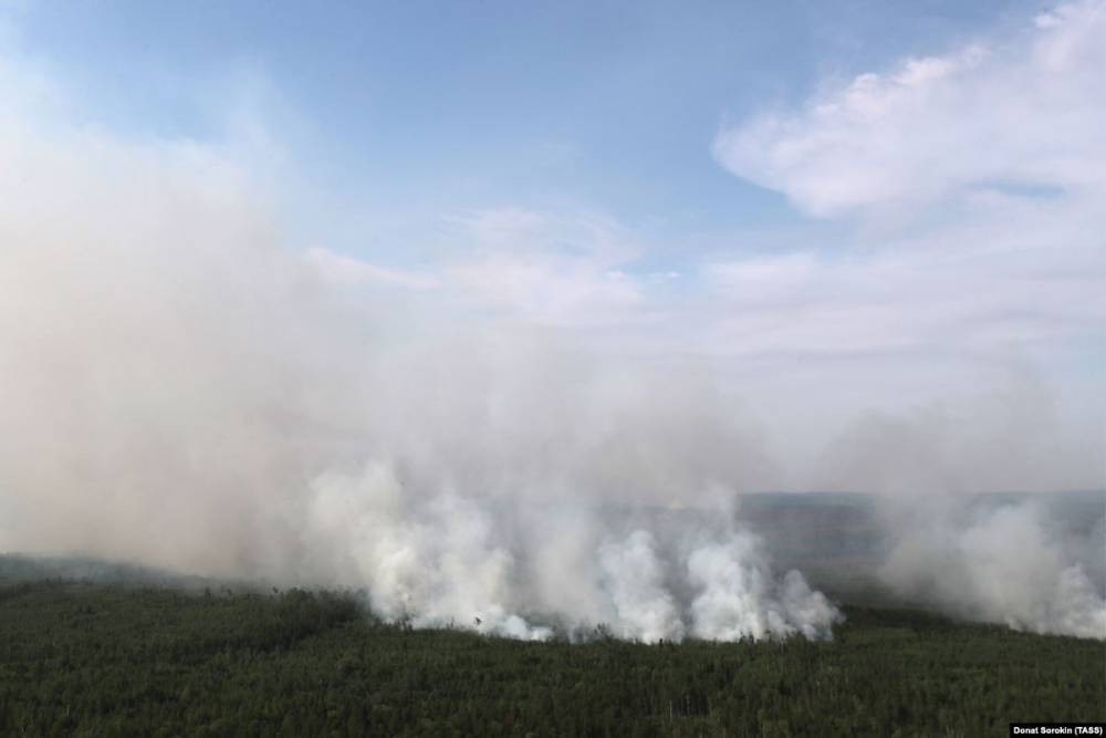 Greenpeace: площадь пожаров в Сибири достигла максимума с начала года