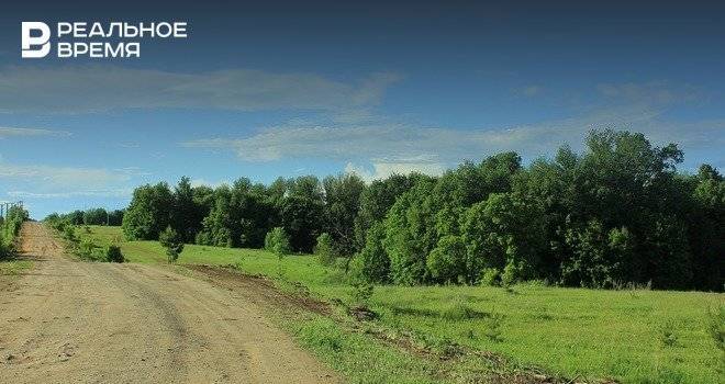 Осенью в Татарстане проведут работы по высадке лесов на площади 2,5 тыс. га