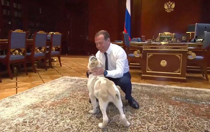 "Это Айк, он обживается в Горках!" Видео Медведева о щенке алабая захватило сеть