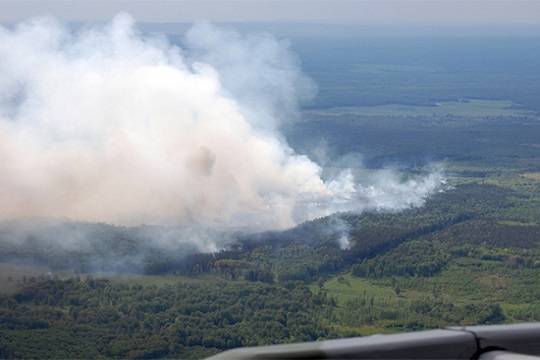 Эколог заявил, что пик лесных пожаров в Сибири миновал