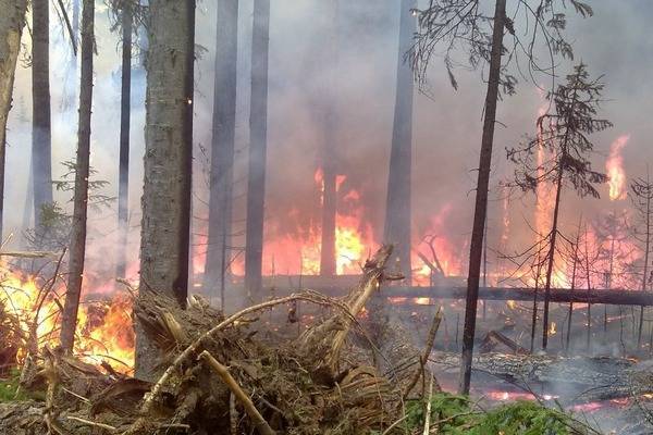 Население Эвенкии задыхается от дыма лесных пожаров