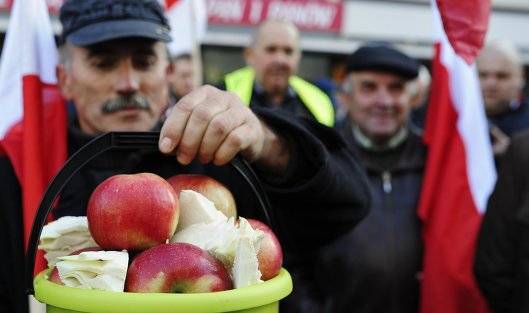 Россия приостановила ввоз яблок, груш и персиков из Китая