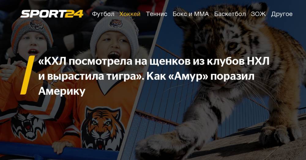 Видео ХК «Амур» с тигром взорвало интернет и социальные сети. Хоккеисты играются с тигром в раздевалке и носят на руках на льду. Видео