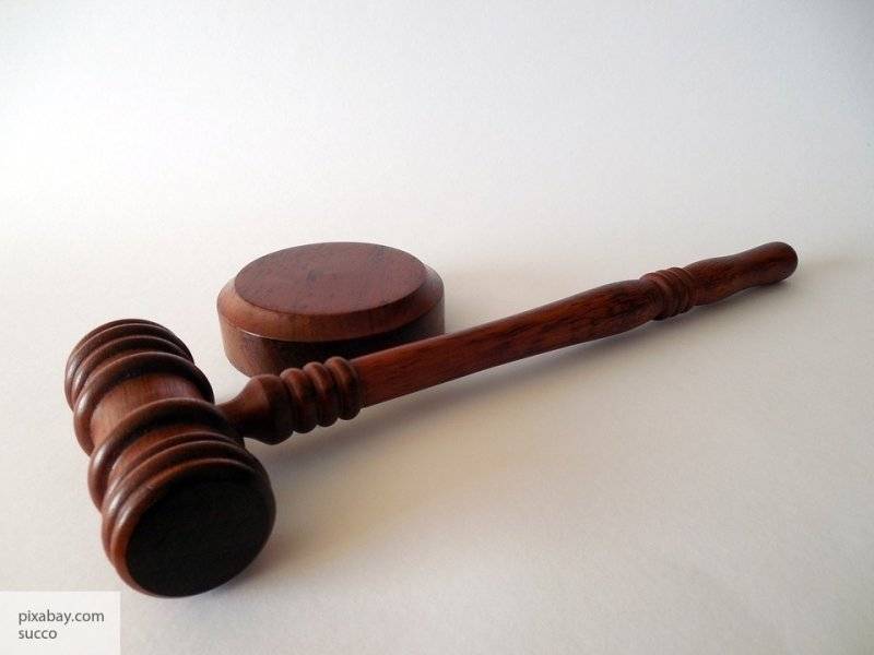 Суд  рассмотрит иск о лишении родительских прав за «участие» младенца в незаконной акции