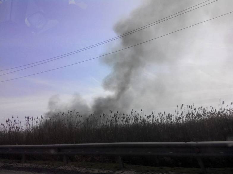 МЧС: число природных пожаров в Ростовской области сократилось на 46%