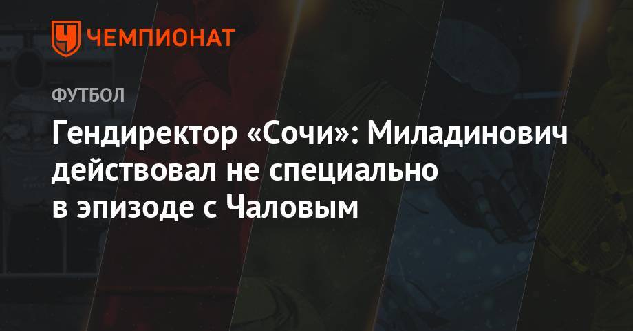 Гендиректор «Сочи»: Миладинович действовал не специально в эпизоде с Чаловым