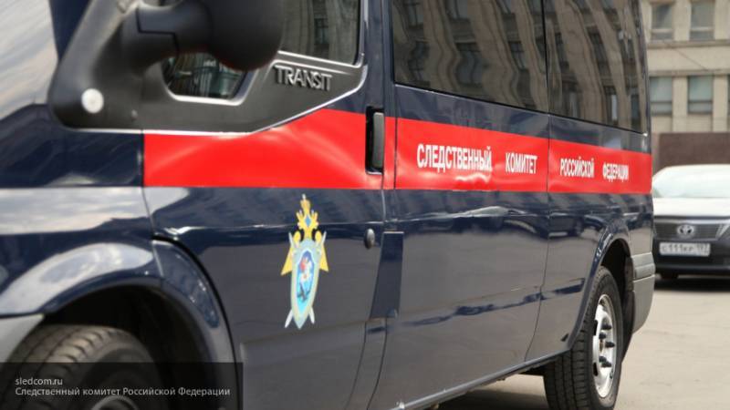 СК проверит заявление участницы беспорядков об избиении полицейским на митинге в Москве