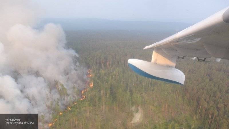 Площадь лесных пожаров в России начала уменьшаться