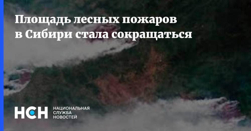 Площадь лесных пожаров в Сибири стала сокращаться
