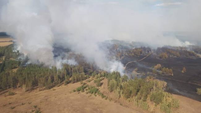 Природные пожары бушуют в четырех регионах Казахстана — Происшествия, Новости Азии