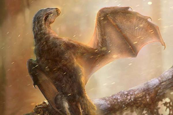 Палеонтологи раскрыли тайну "странного" динозавра, найденного в Техасе - glavtema.ru - Техас