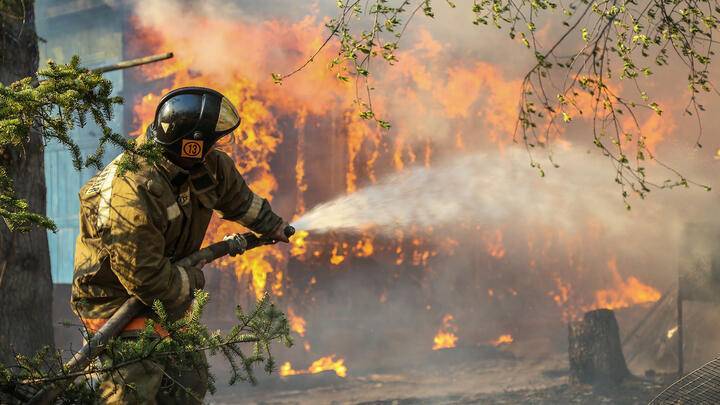 На площади в 1,2 млн. гектаров сокращены лесные пожары на Дальнем Востоке