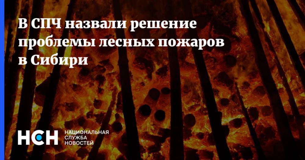 В СПЧ назвали решение проблемы лесных пожаров в Сибири