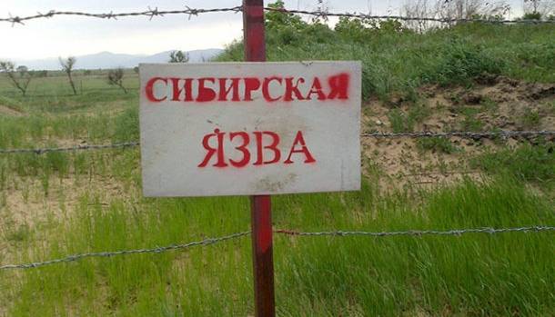 В Беларуси обнаружили сибирскую язву. Впервые за 20 лет