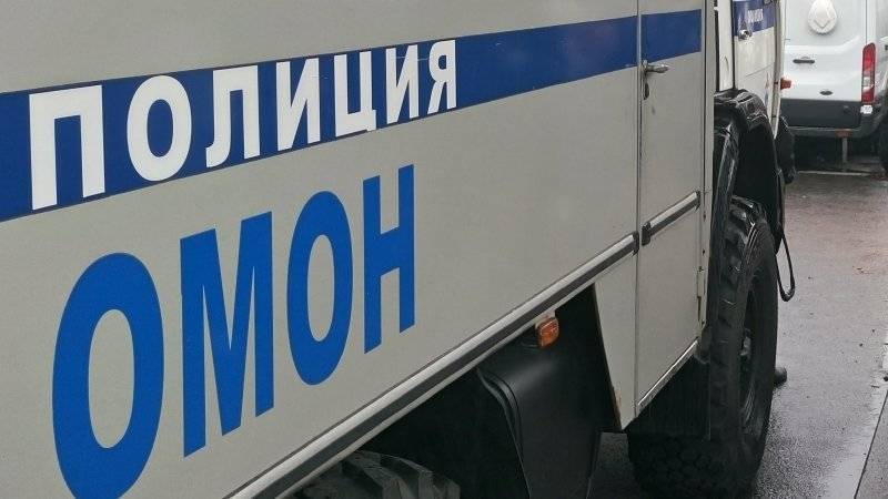 Полиция проводит проверку после применения силы к активистке на акции в Москве
