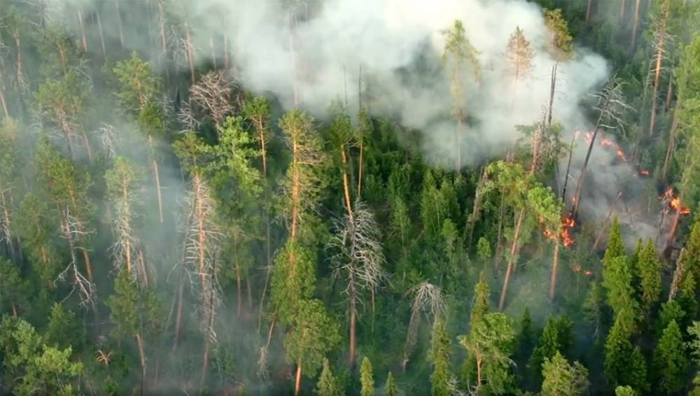 Кабмин выделил около 6 млрд рублей на тушение лесных пожаров