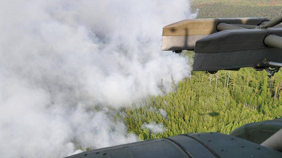 Кабмин выделил около 6 млрд рублей на тушение лесных пожаров в России