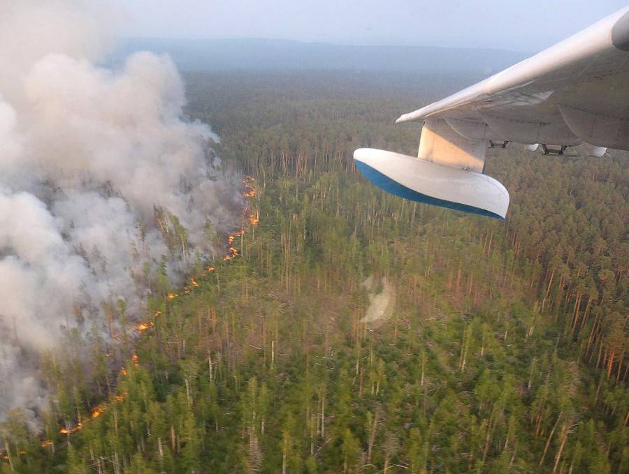 Григорий Куксин - В СПЧ назвали решение проблемы лесных пожаров в Сибири - m24.ru - Россия
