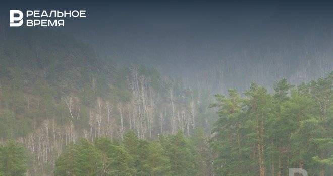 МЧС Татарстана предупредило о надвигающемся тумане