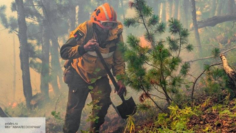 Спасатели локализовали начавшийся пожар в лесу на Кубани