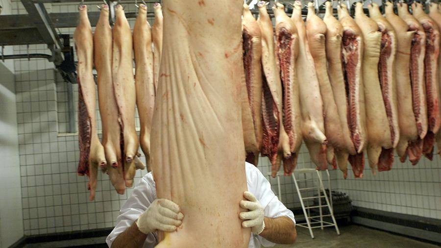 Россельхознадзор ограничил ввоз свинины из Сербии из-за АЧС