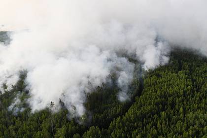 Активисты ОНФ помогут защитить российские города от лесных пожаров