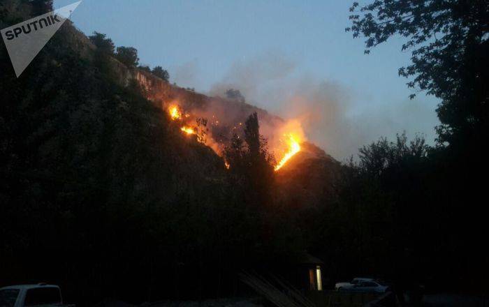 50 пожаров на участках с травяным покровом за день – МЧС Армении предупреждает