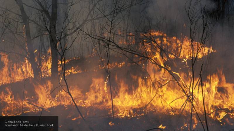 Туристов эвакуируют с турецкого острова Мармара из-за лесных пожаров