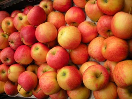Урожай смородины и&nbsp;яблок планируют увеличить вдвое в&nbsp;Нижегородской области