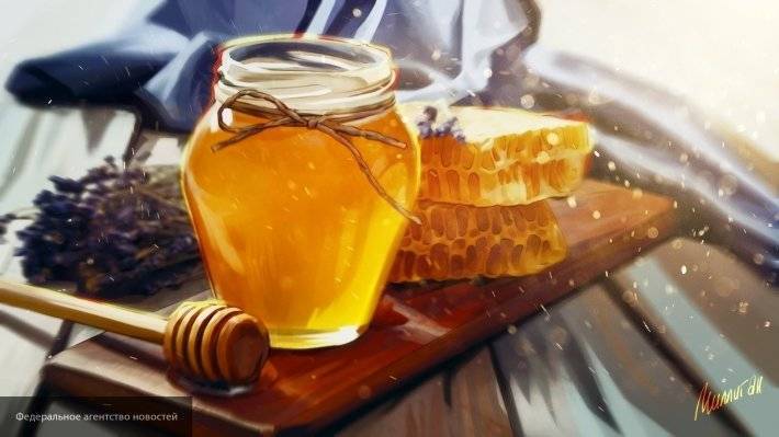 Эксперты рассказали, как правильно употреблять мед, чтобы не нанести вред здоровью