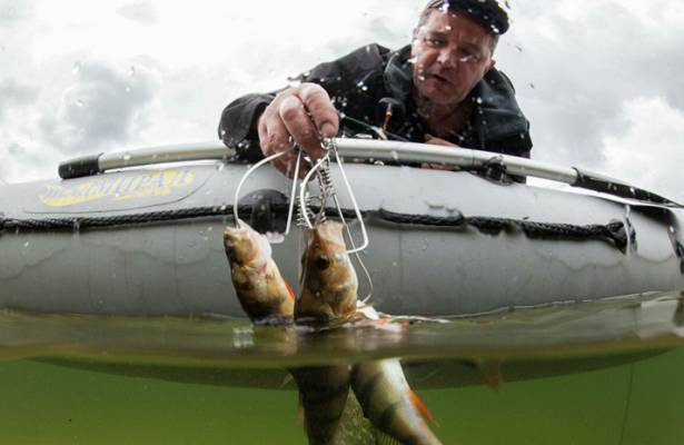 Эксперт прокомментировал новые правила любительской рыбалки