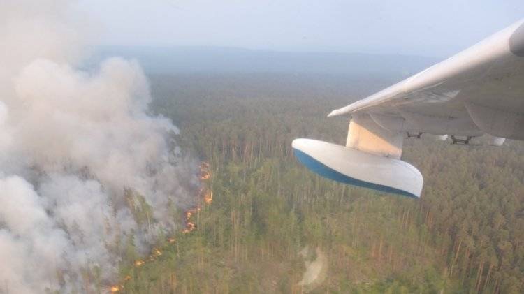 Более полусотни лесных пожаров потушено за сутки в России