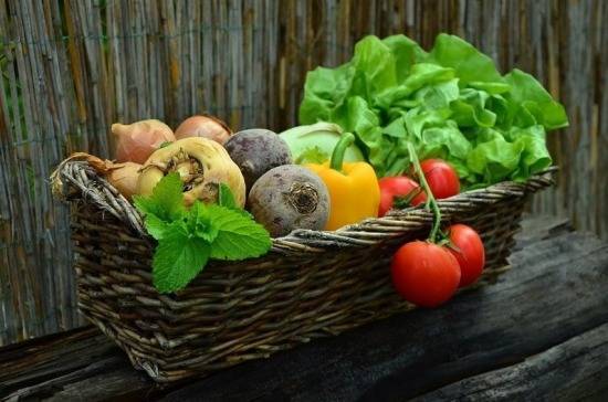 Садоводы Екатеринбурга смогут продавать урожай в супермаркете
