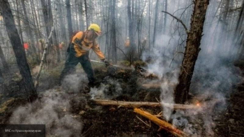 Песков заявил, что пожарные в Сибири работают "до седьмого пота"