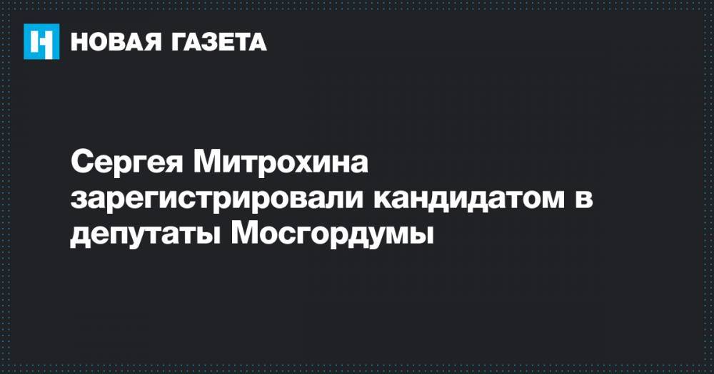 Сергея Митрохина зарегистрировали кандидатом в депутаты Мосгордумы