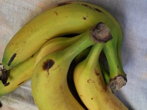Миру угрожает «банановый кризис» - Cursorinfo: главные новости Израиля