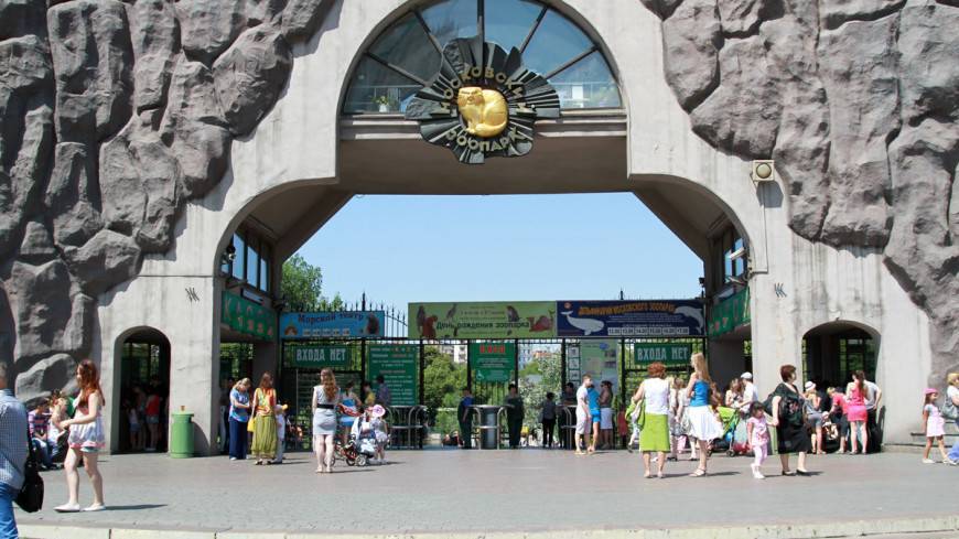 В Московском зоопарке расскажут, как помочь бездомным животным