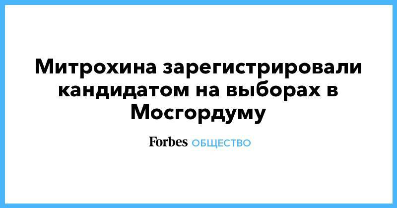 Митрохина зарегистрировали кандидатом на выборах в Мосгордуму