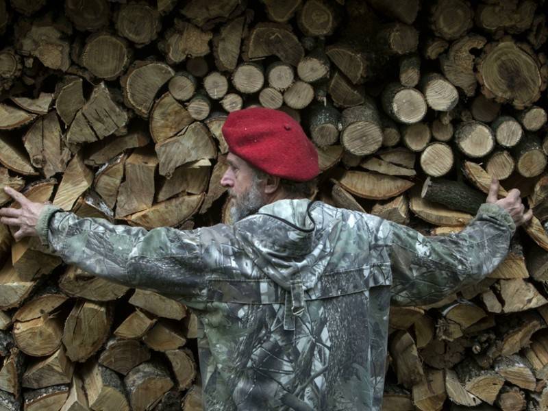 Экспорт российского леса в Китай может быть запрещён